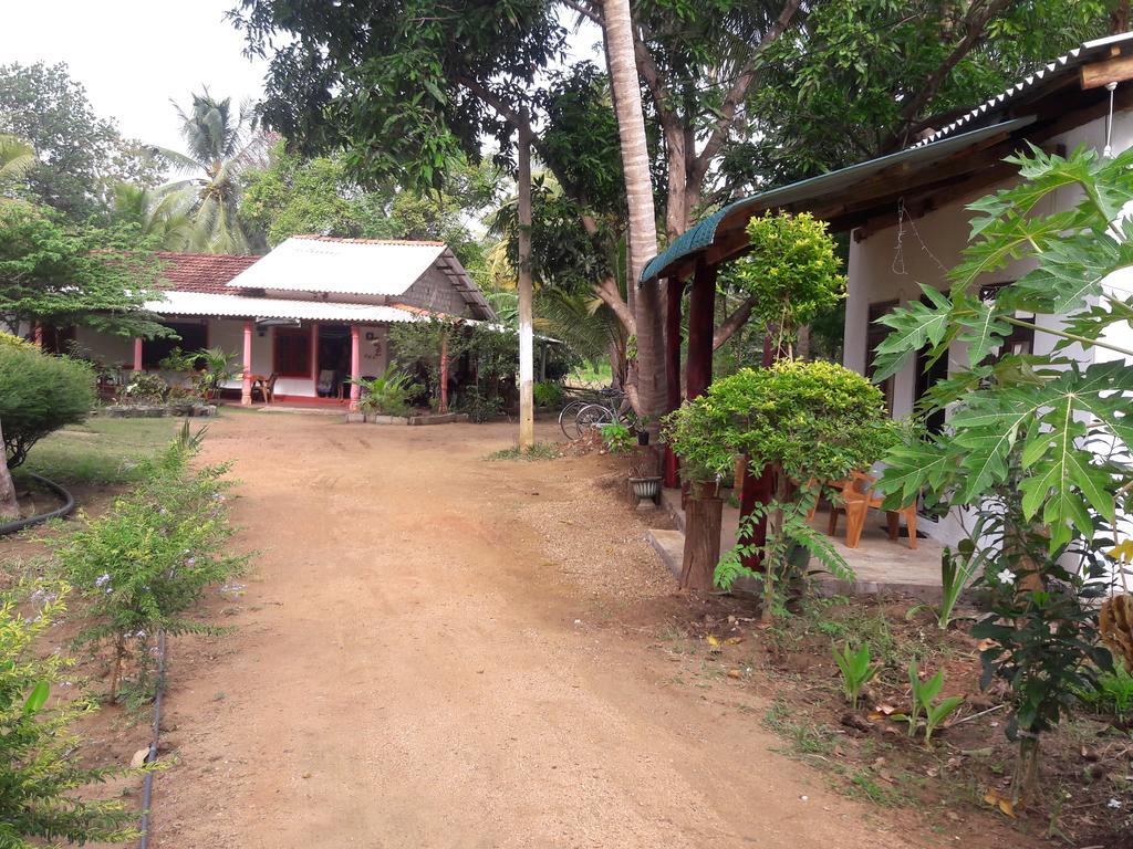 Sigiri Picaso Home Stay Sigiriya Exterior photo