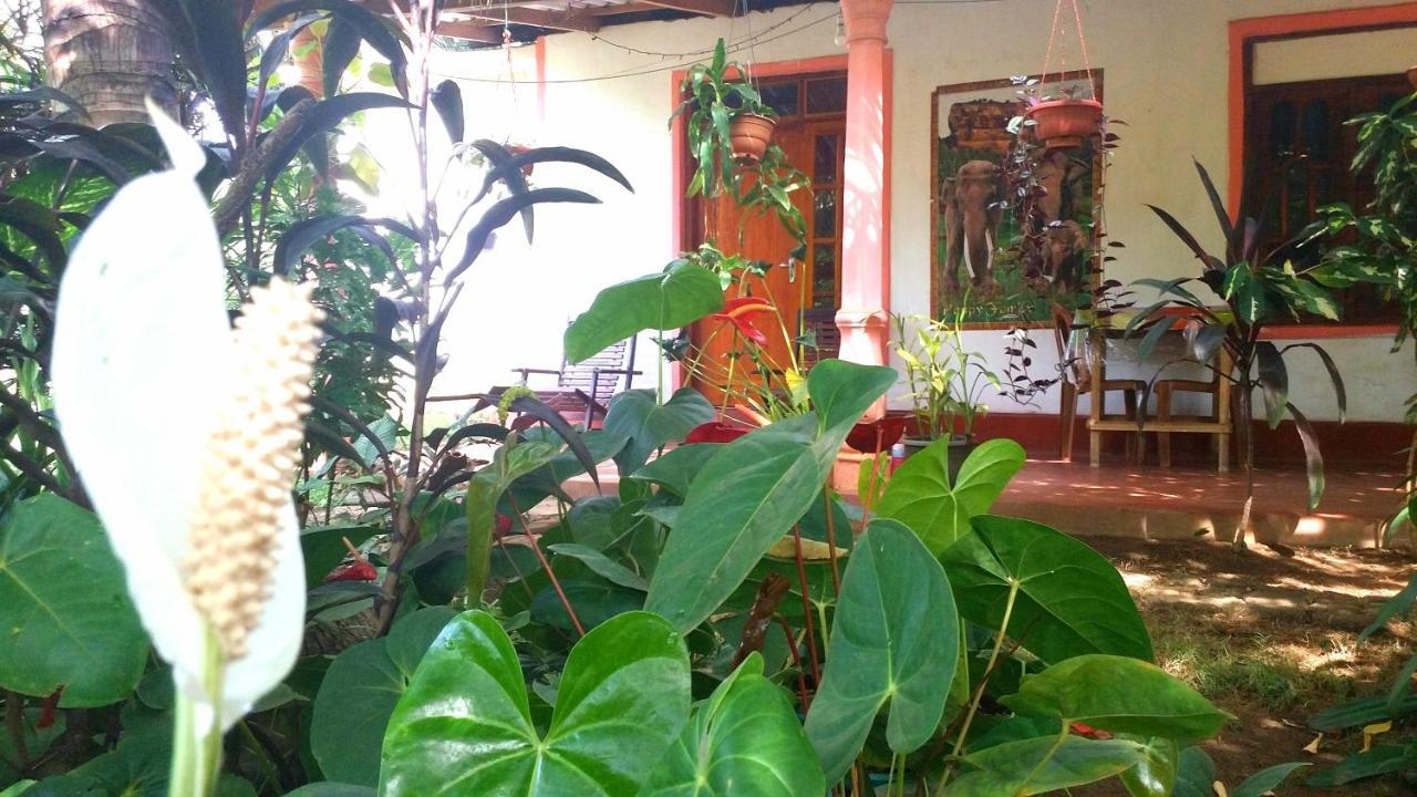 Sigiri Picaso Home Stay Sigiriya Exterior photo